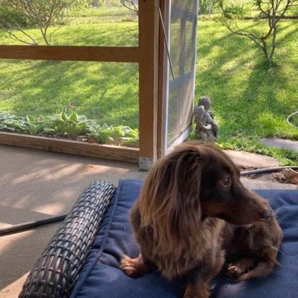 Meet your Posher, Beth - Picture 1 of 1